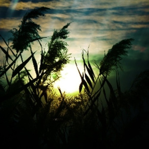 两口子性爱视频
