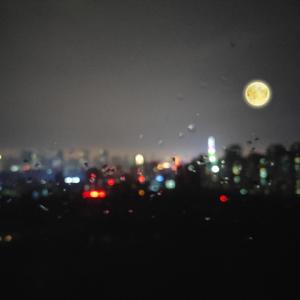 两口子性爱视频
