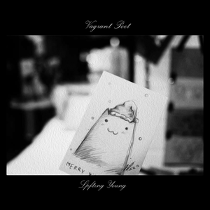 两口子性爱视频
