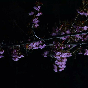 两口子性爱视频
